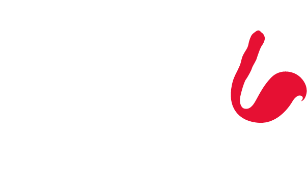 上海东狐数字传媒科技有限公司